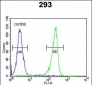 UNC50 Antibody (N-term)